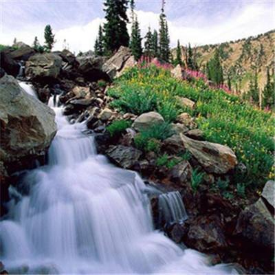 沈阳房地产网下载